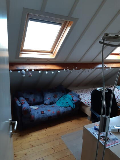 slaapbank en bed in de kamer